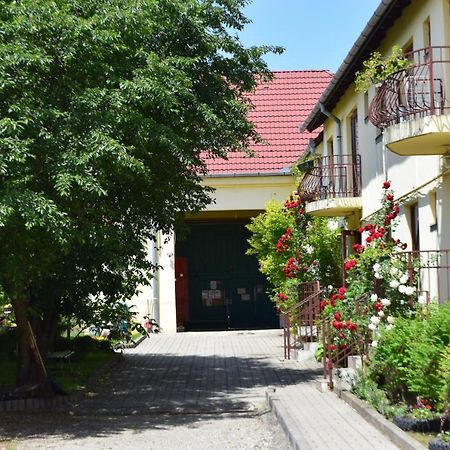 Pension Greenhouse Sibiu Eksteriør bilde