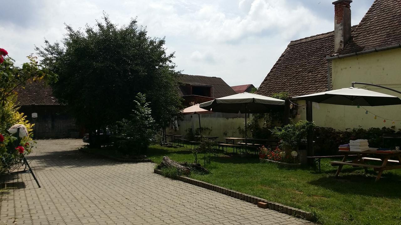 Pension Greenhouse Sibiu Eksteriør bilde