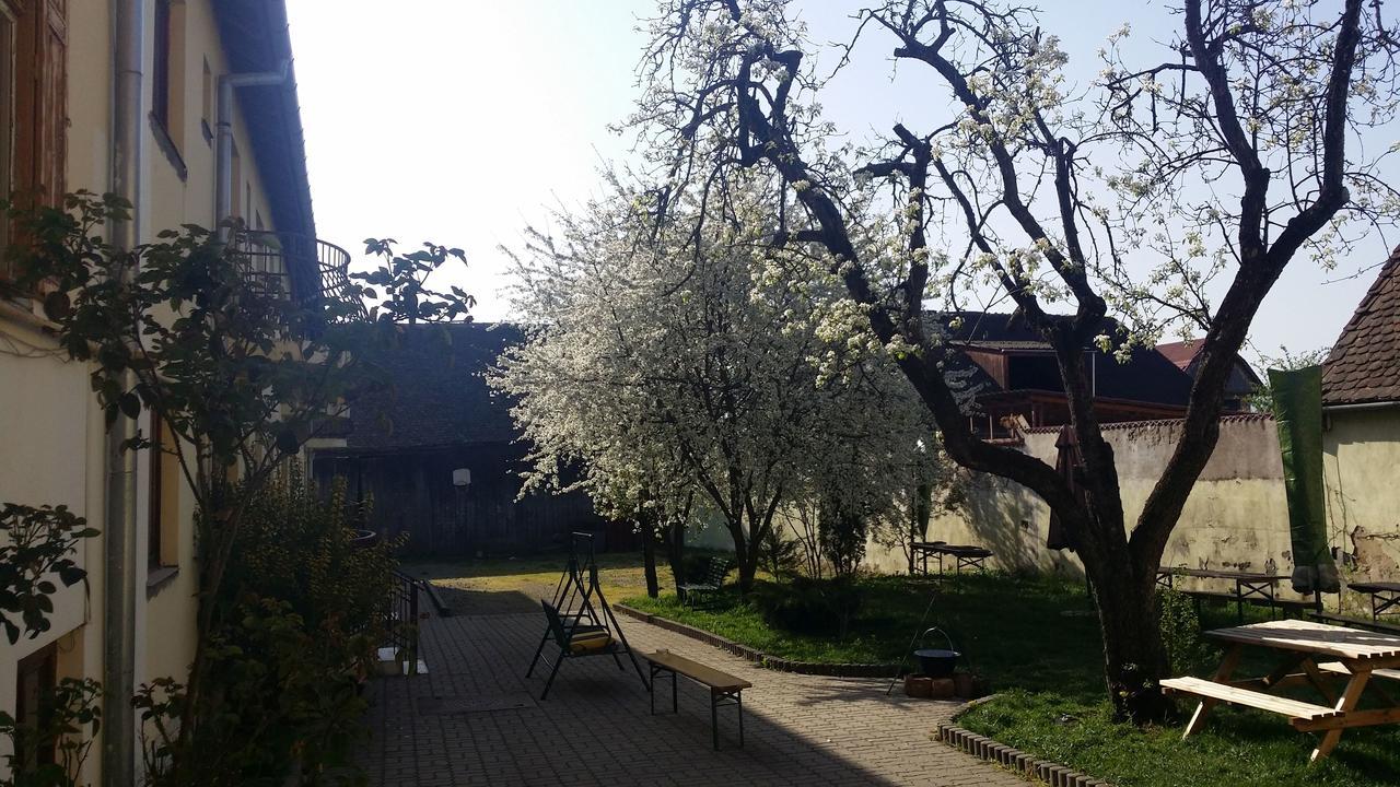 Pension Greenhouse Sibiu Eksteriør bilde